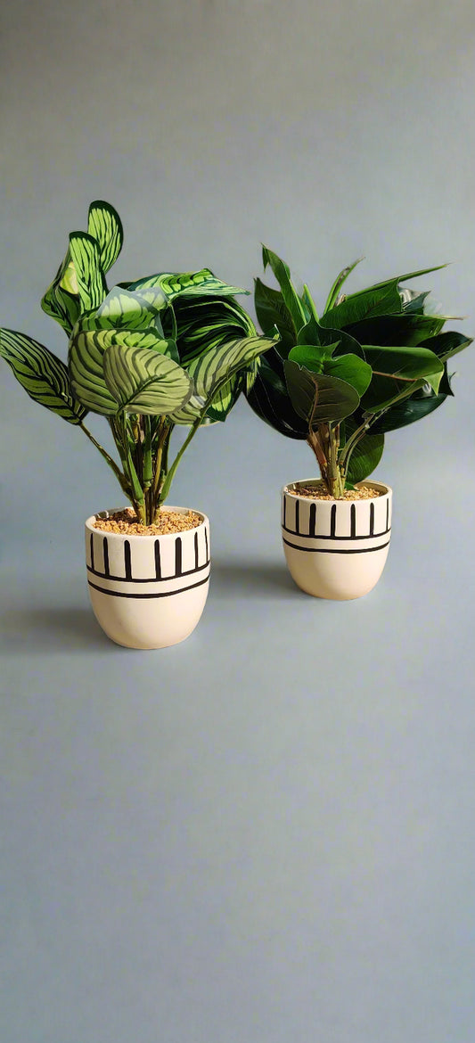 Tropical Duo – Artificial Leafy Plants in Hand-Painted Ceramic Pots